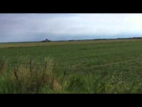 Immagine anteprima YouTube