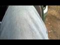 Terex Swamp Ride