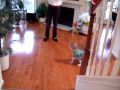 Ari coming downstairs Christmas morning
