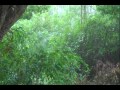 Heavy Rain & Thunder (For Relaxation)