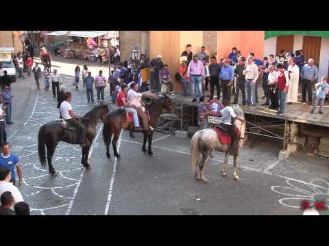 Cavalcata - Cavalcata in onore di S. Oliva, patrona di Pettineo. Video: Salvatore Machì.
