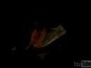 red shoe from vanessa hudgens red shoe from vanessa hudgens