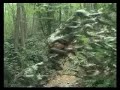 Mercedes Classe G rock crawling Mercedes Classe G rock crawling