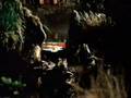 Watch 'Tv Commercials - Budweiser Lizards - Your Mother's an Iguana'
