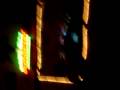 Careless Whisper in Cotati