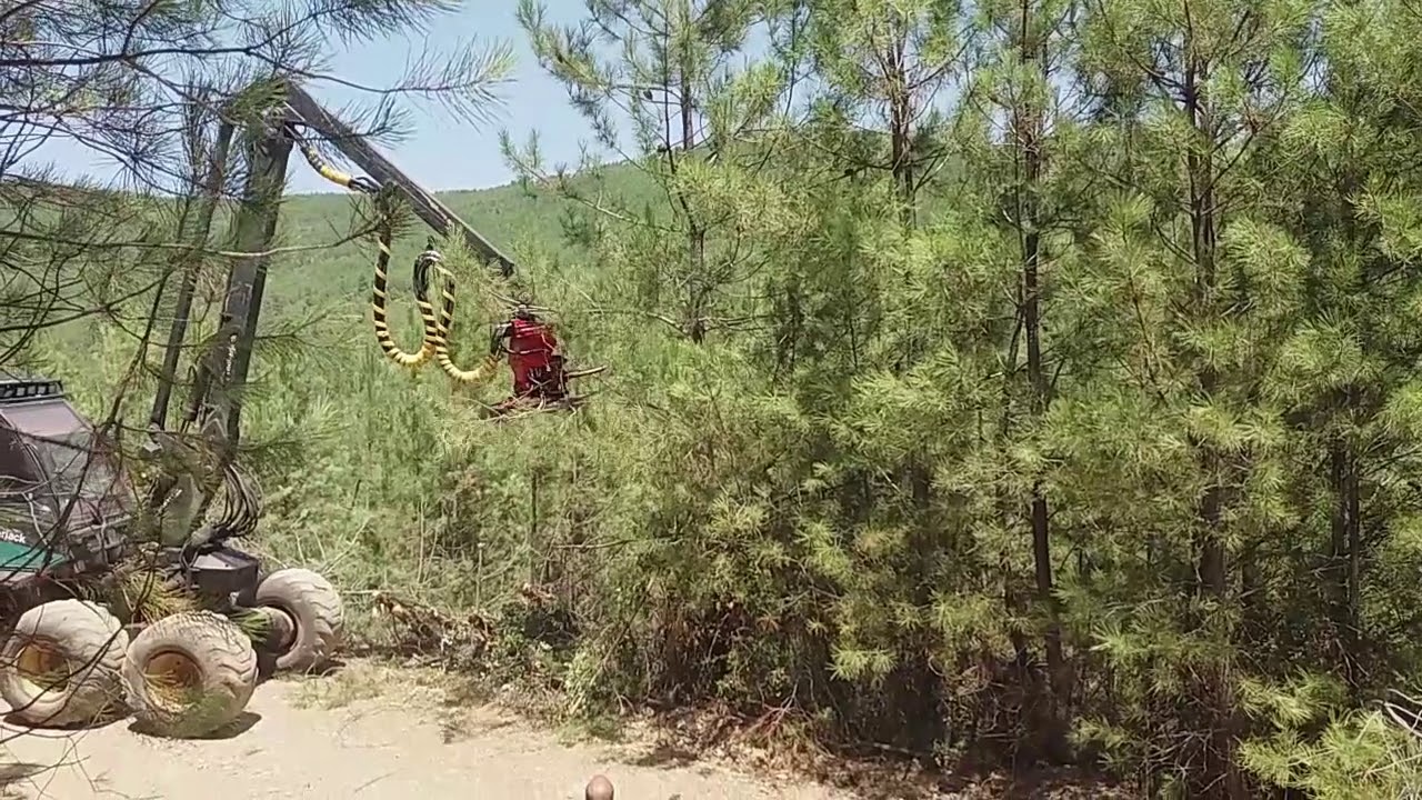 Cabeça Processadora Naarva - Serra S.Mamede Pt3