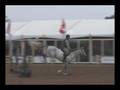 videos de OZ