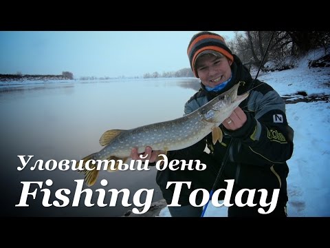 рыбалка на реке в праге рыбалка на реке в праге