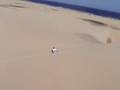Sand Boarding, Anna Bay, Port Stephens