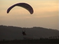 \"nunca volare solo\" \"nunca volare solo\"