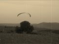 nunca volare solo