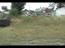 Ethan saved my life