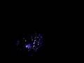 videos de A FESTA (SSO) 2008