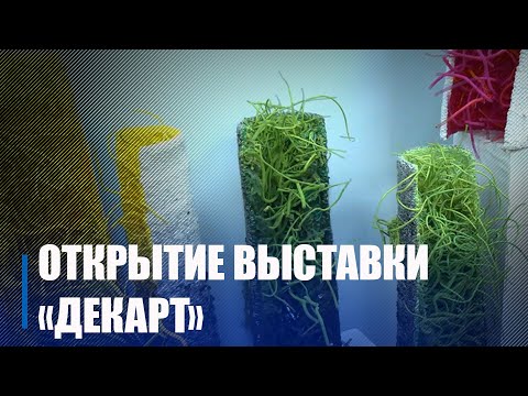 В картинной галерее Г.Х. Ващенко состоялось открытие выставки «ДекАрт» видео
