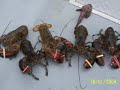 cape breton lobsterr fishingg