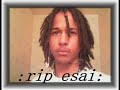 RiP ESAi RiP ESAi