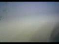 videos de il mago della colla 2