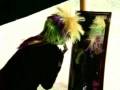 Tápias Voadores - Circo Escola Diadema