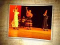 Flamenco Chasse 2008 deel 2 Flamenco Chasse 2008 deel 2