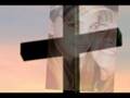 LIVELYTV-A-Tribute-t