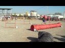 T�rrega agility G2