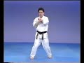 Kyokushin Blocks - Seiken Jodan Uke Kyokushin Blocks - Seiken Jodan Uke