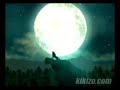 zelda-twilight-princess-glitch.html