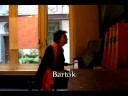 Sylvia Traey speelt Bartok in Filocafe Antwerpen.