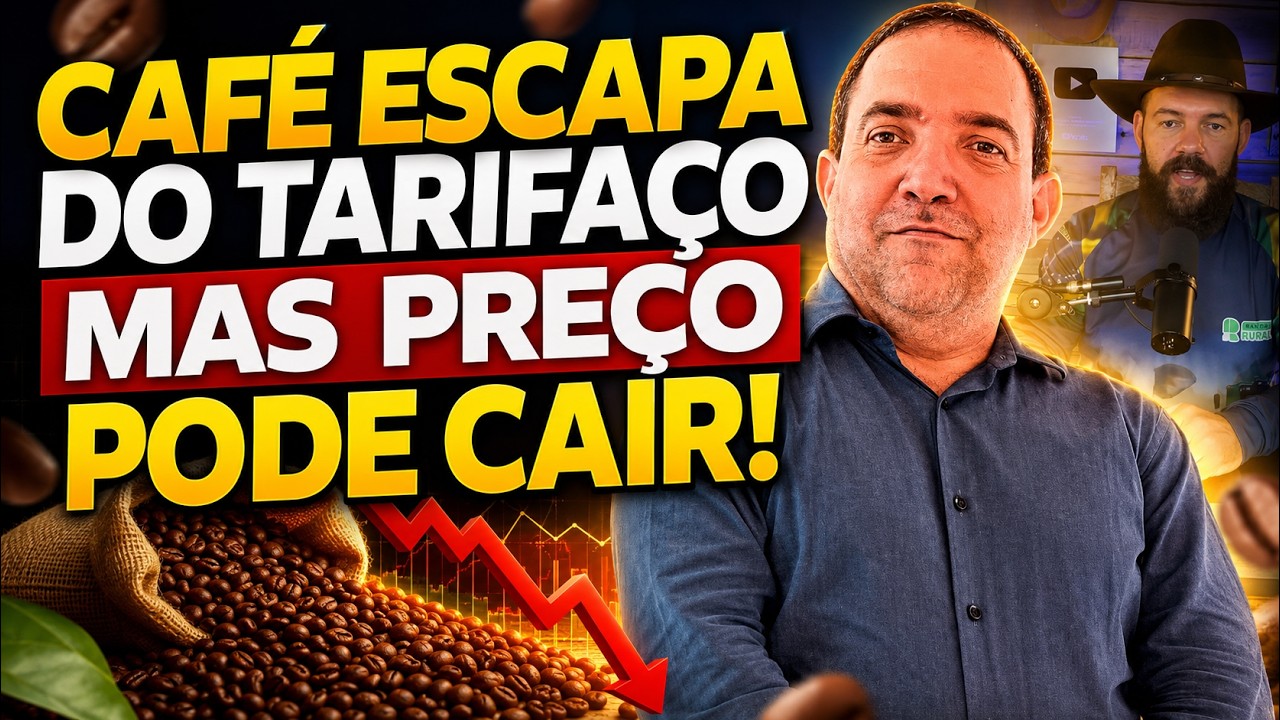 CAFÉ escapa do TARIFAÇO mas preço pode cair!