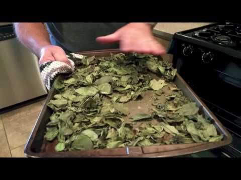 video-linktoworks-Drying and Storing Basil