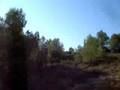 Algar Views