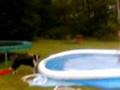 greg's pool!!-eDu T