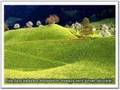 Green Fields-Ye�il Yerler