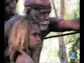 diprotodon, cryptozoology diprotodon, cryptozoology