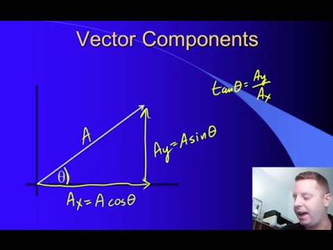 how to solve vector problems in physics