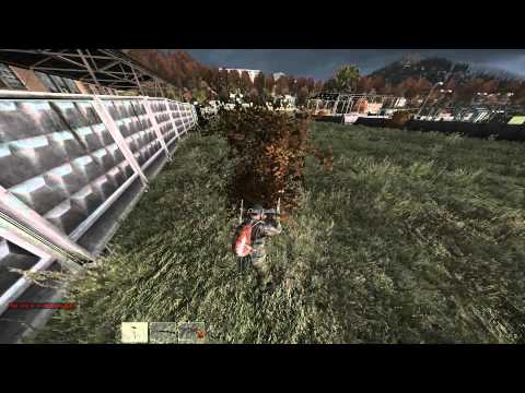 how to repair broken bones dayz