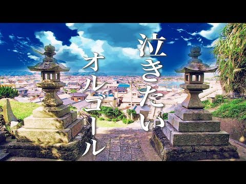 動画