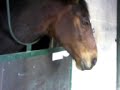 koukiefutur-ronaldo-o.html