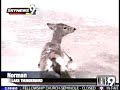 deer rescue in oklahoma