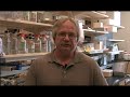 IUPUI Scientist Works on Ethanol Breakthrough IUPUI Scientist Works on Ethanol Breakthrough