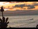 Lahaina Store Grille & Oyster Bar