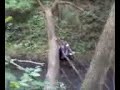 Funny Forest Accident