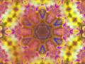 Entheogenic - Aranyanyara Entheogenic - Aranyanyara