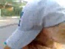 zico de chapeu