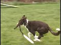 klepto-being-a-goof.html