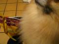 videos de my cute big boi