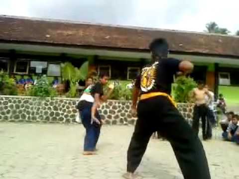 sh winongo vs terate
