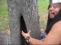 Search Video
