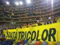 SOATA TRICOLOR EN PERU