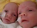 twin mob maakt hengelo onveilig twin mob maakt hengelo onveilig